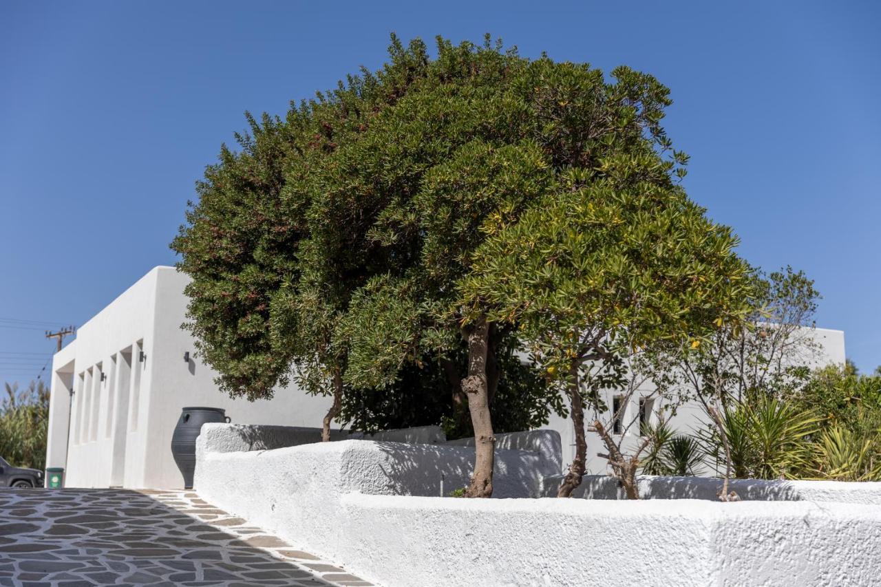 Naxos Green Village Hotel Naxos City Exterior photo